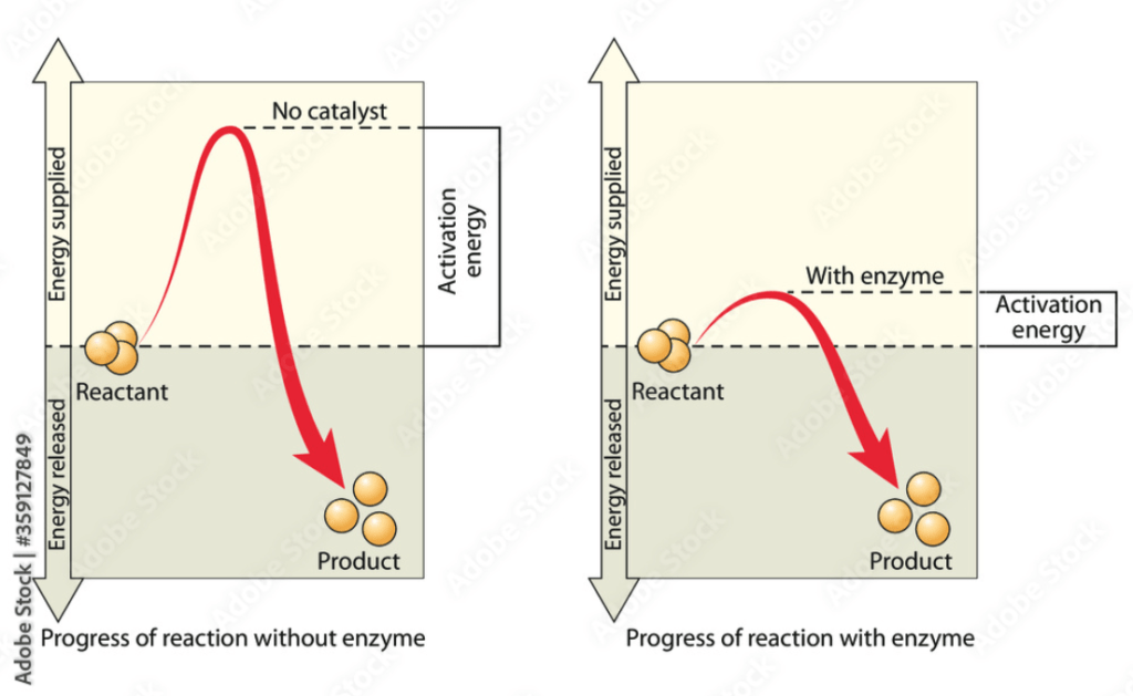 Activation energy